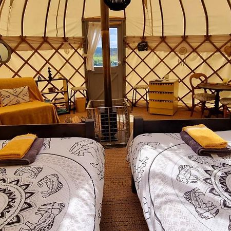 Bronfelen Yurt Hotel Cynghordy Exterior photo